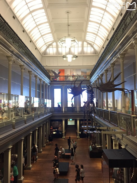 Australian Museum-Amelia Walsh