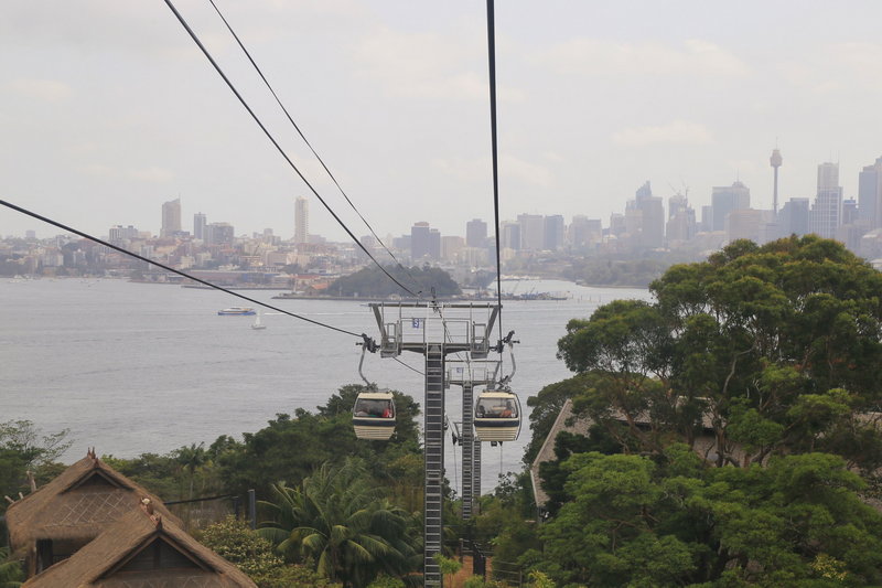 Taronga Zoo-Echo Stormcliff