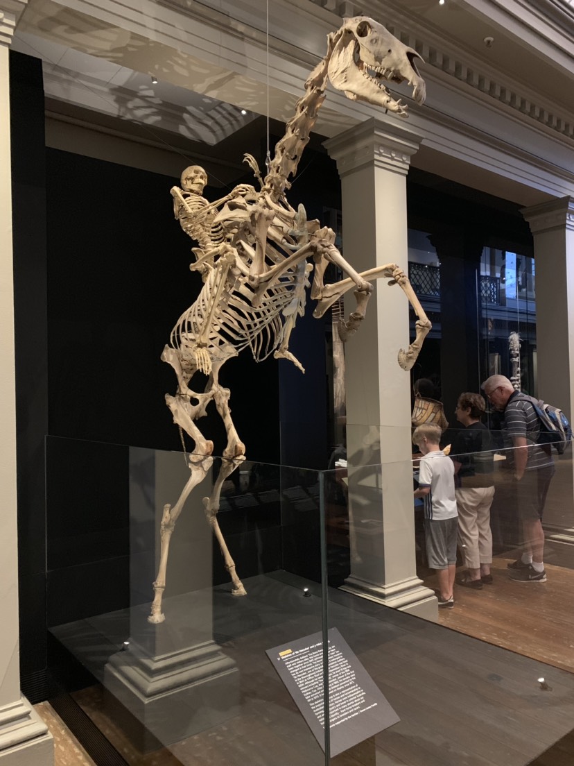 Australian Museum-Joseph Taylor