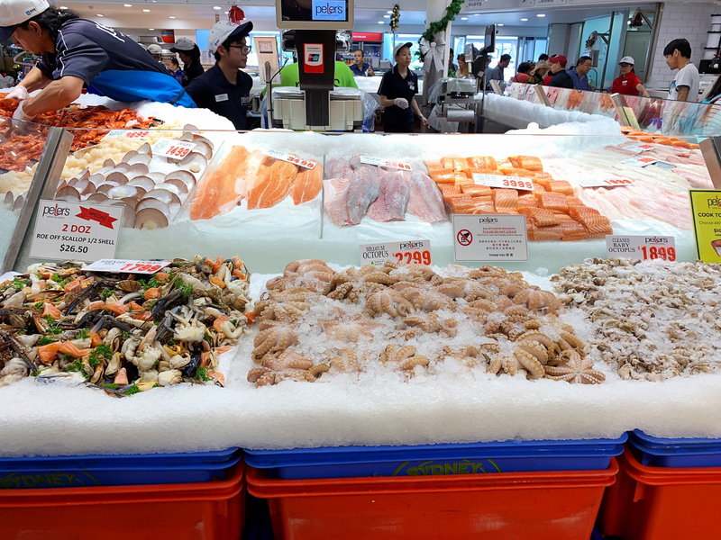 Sydney Fish Market-Rowan Taylor