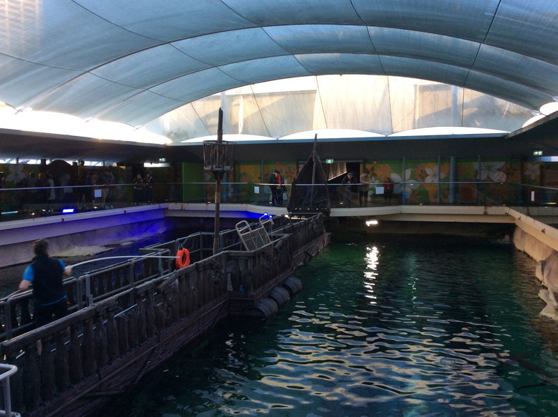 SEA LIFE Sydney Aquarium-Grace Phillips