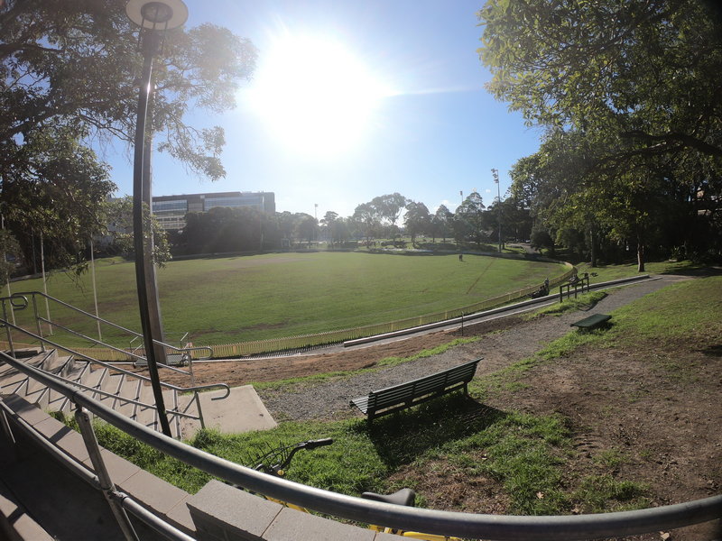 Sydney Uni-Ocean Dawncliff