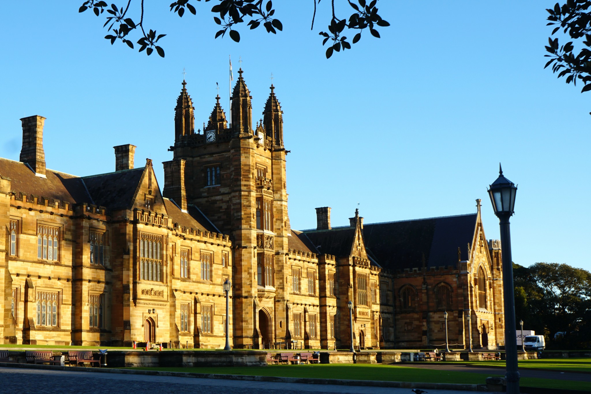 Sydney Uni-Willow Moonwood