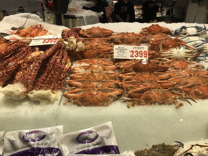 Sydney Fish Market-Aiden Hughes