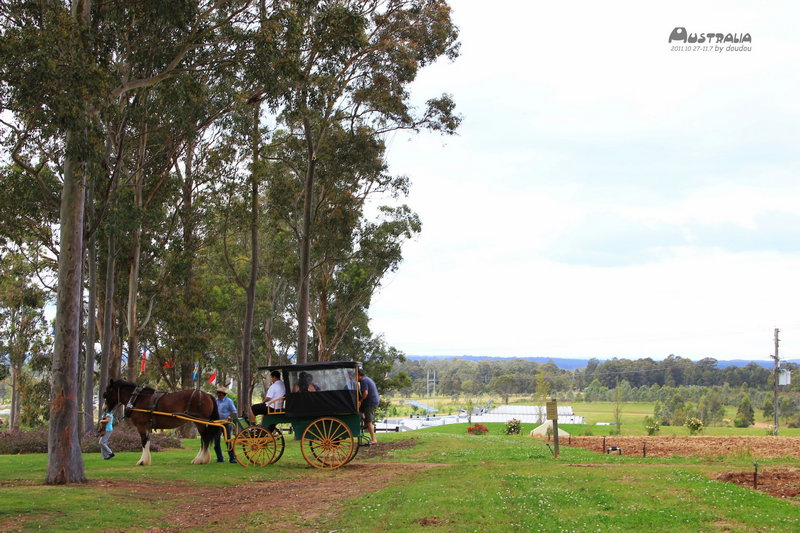 Hunter Valley-Wolf Sinclair