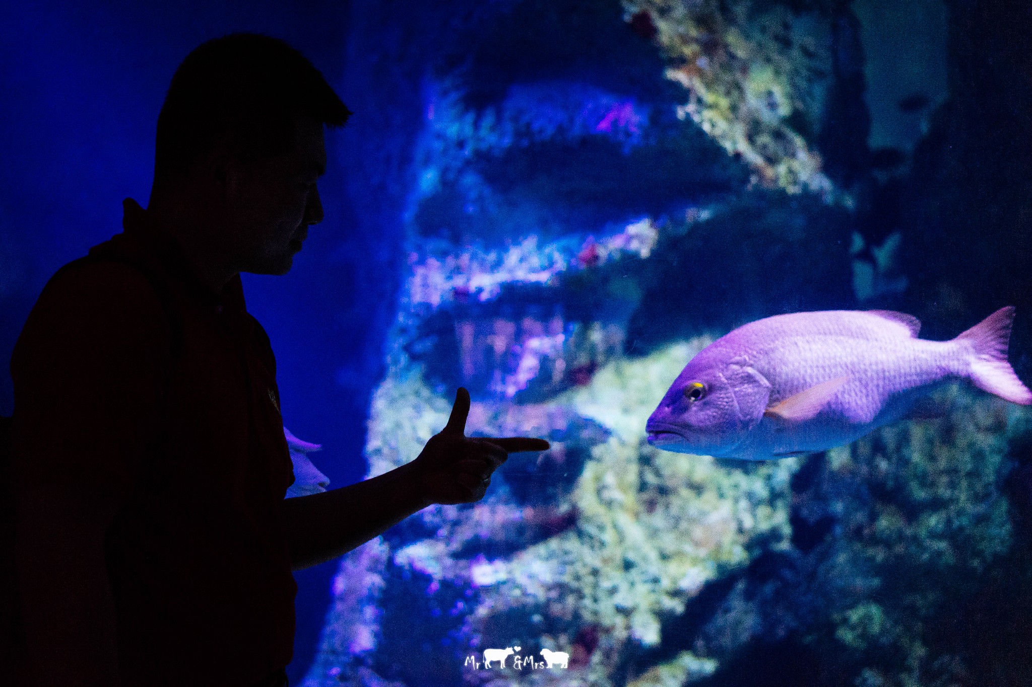 SEA LIFE Sydney Aquarium-Charlotte Garcia