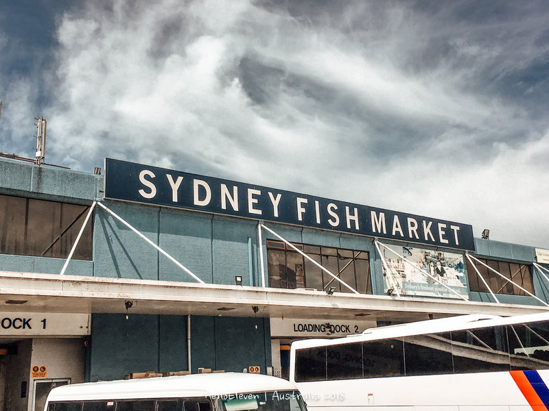 Sydney Fish Market-Caleb Robinson