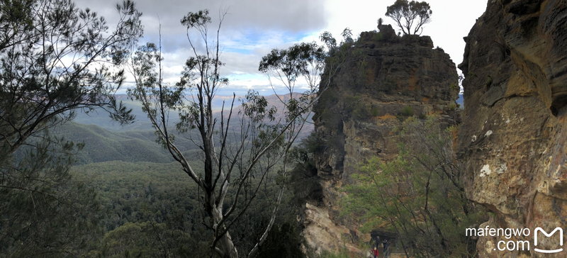 Blue Mountains-Ivy Hendricks