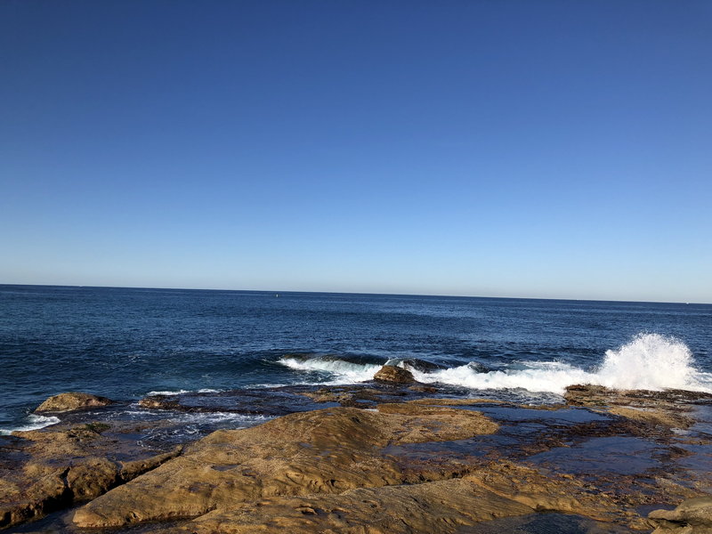 Bondi Beach-Ezra Warren