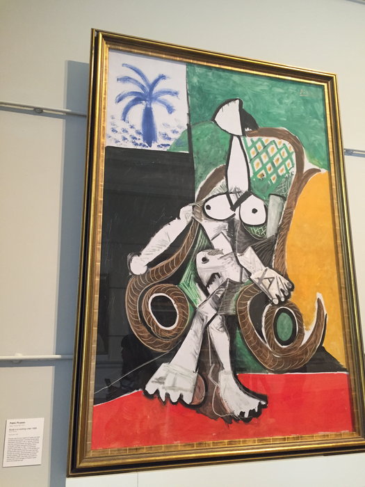 Art Gallery of NSW-Nova Brooks