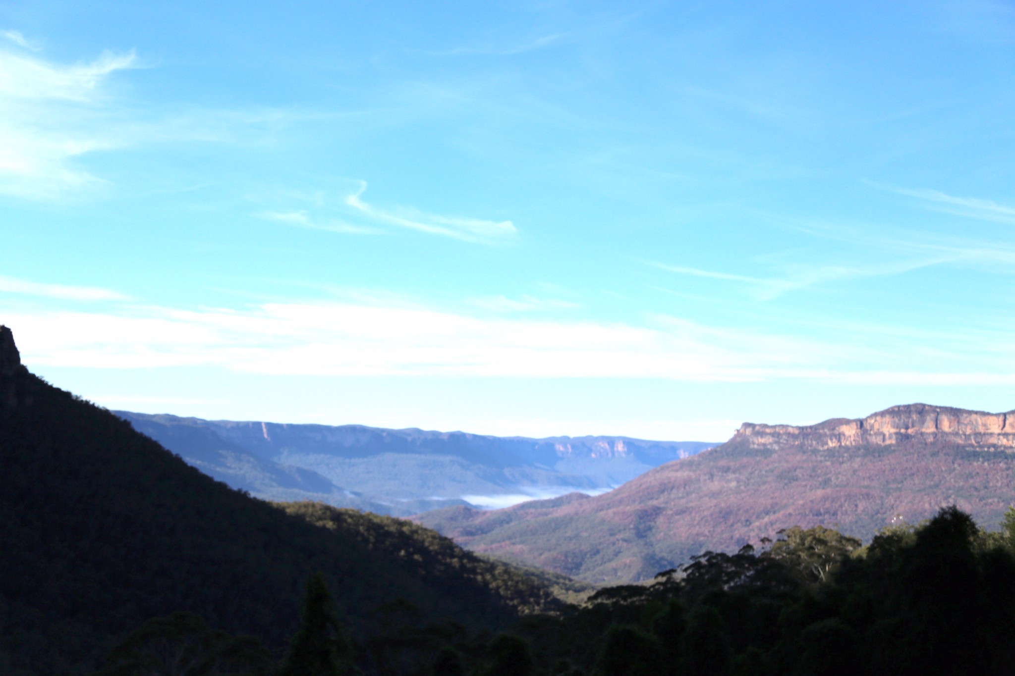 Blue Mountains-Lotus Winchester