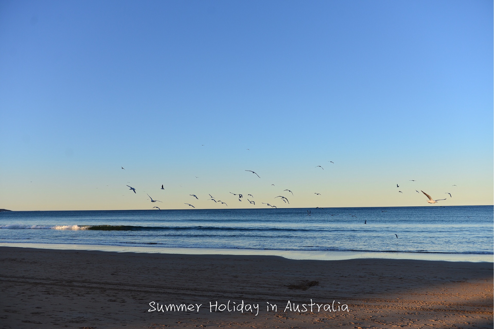 Manly Beach-James Callahan