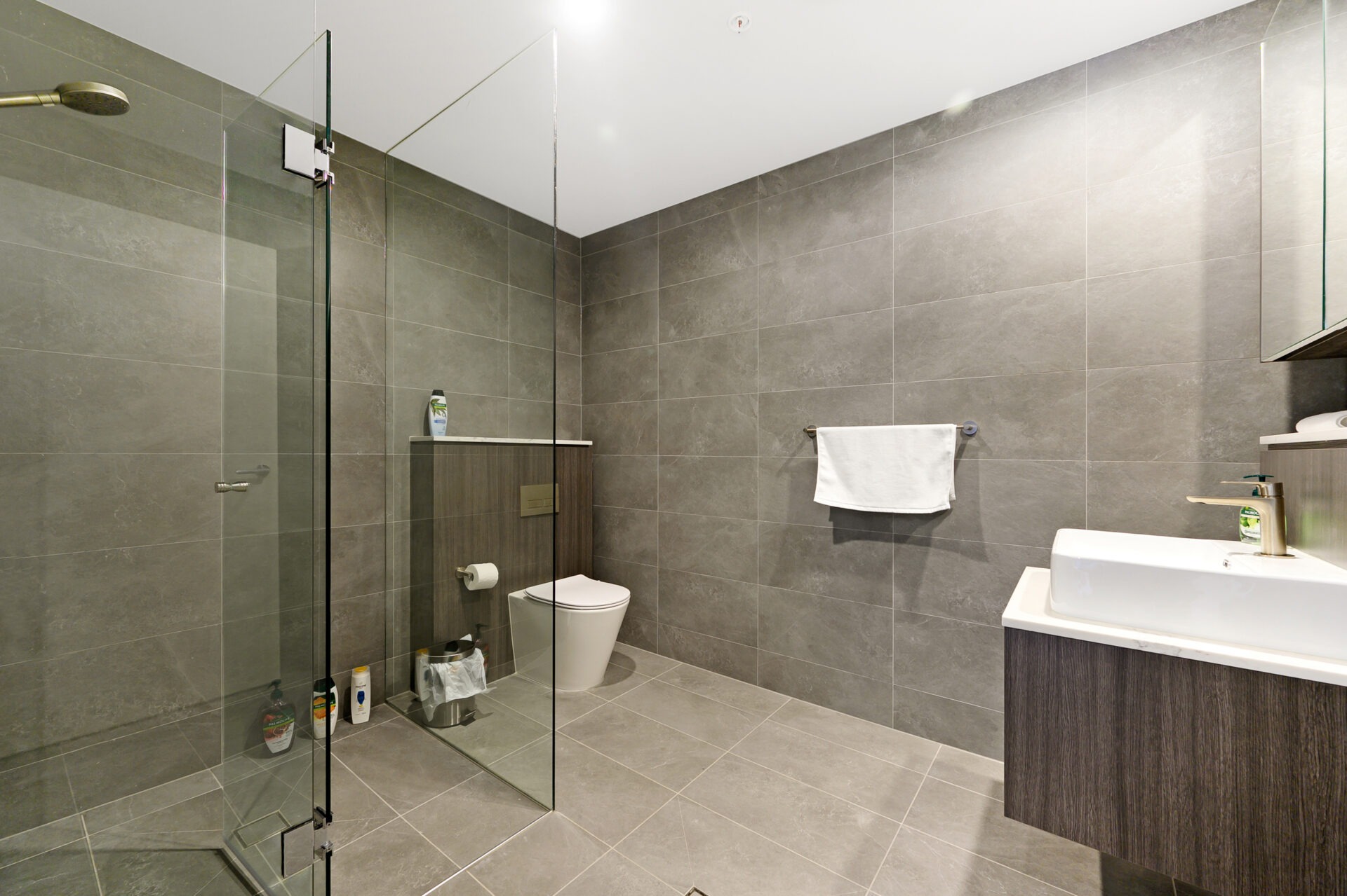 Strathfield South 2 Bedroom Water Street SS242-Sydney short term rentals