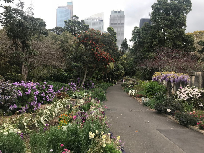 Royal Botanic Garden-Aubrey Davis