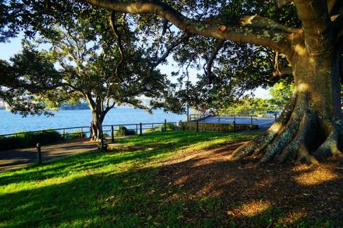 Royal Botanic Garden-Adam Hughes