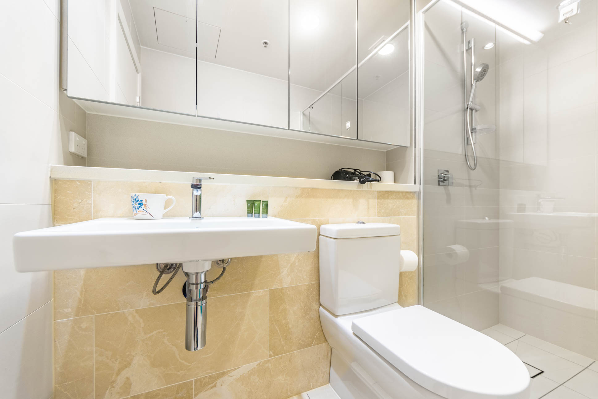 Five Dock 2 Bedroom Penthouse FD28-Sydney short term rentals