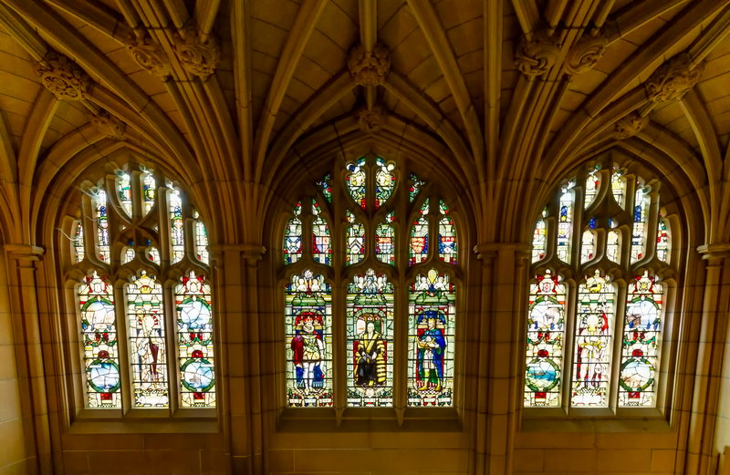 Sydney Uni-Orion Nightwood