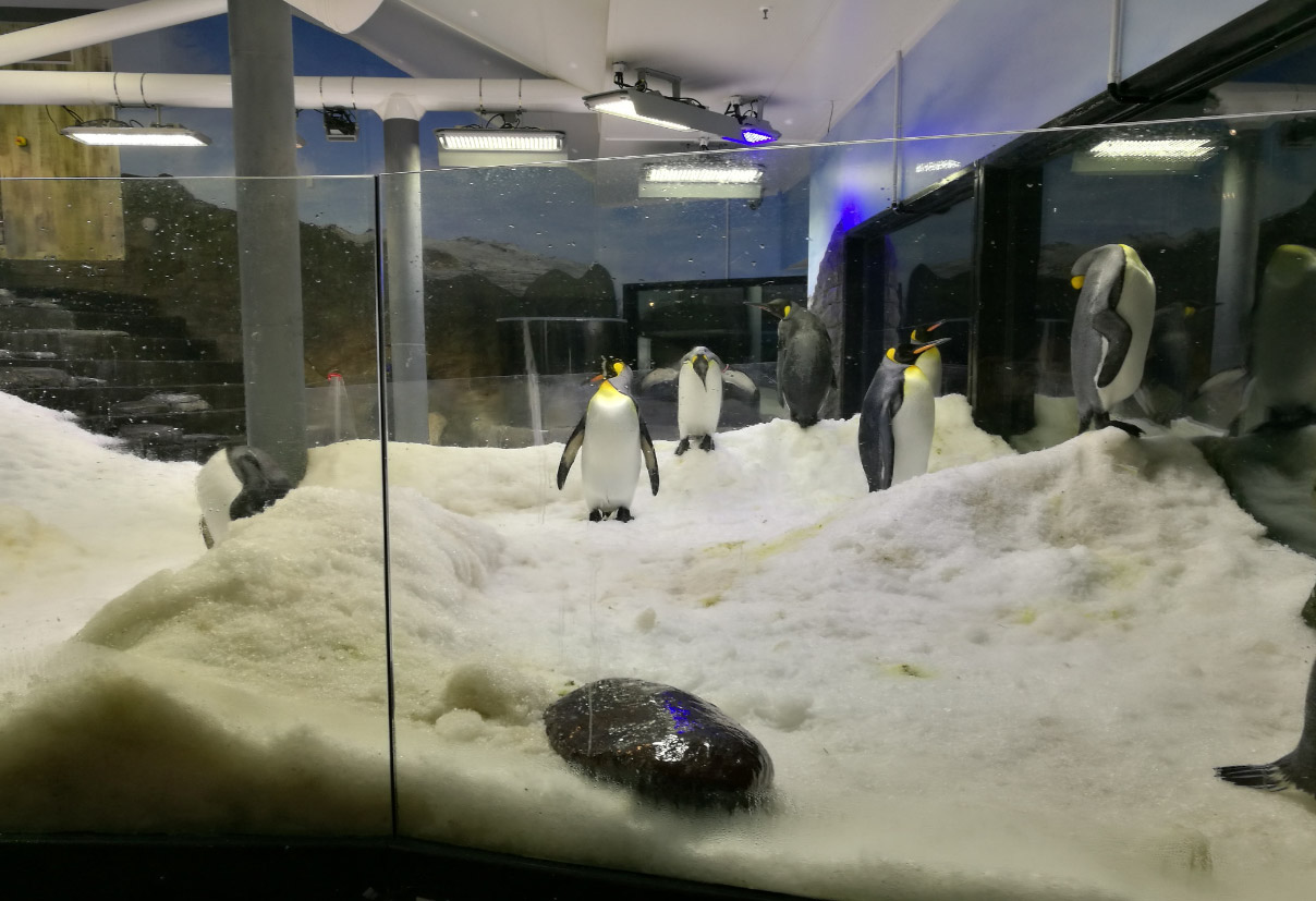 SEA LIFE Sydney Aquarium-David Price