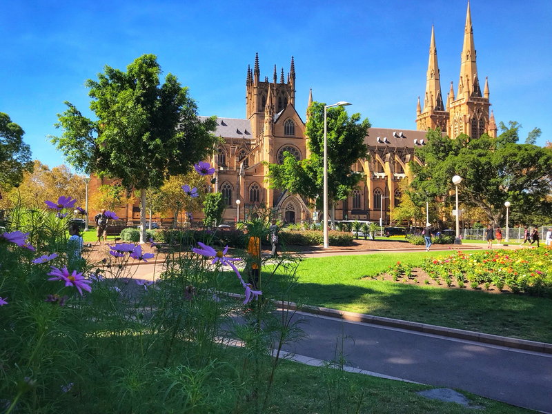 St Mary's Cathedral-Indigo Morningstar