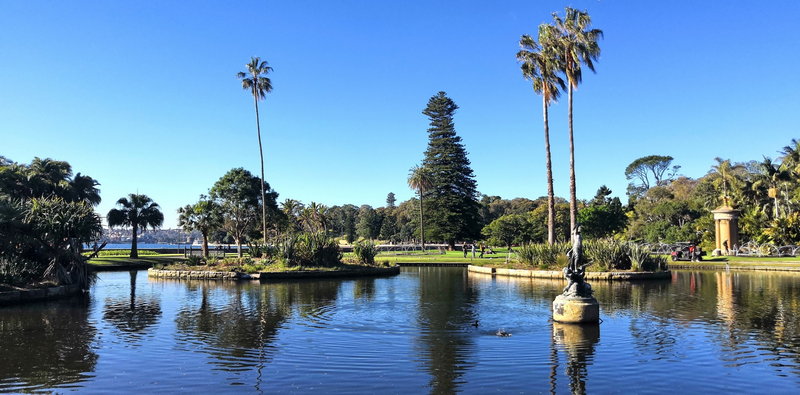 Royal Botanic Garden-Hazel Edwards