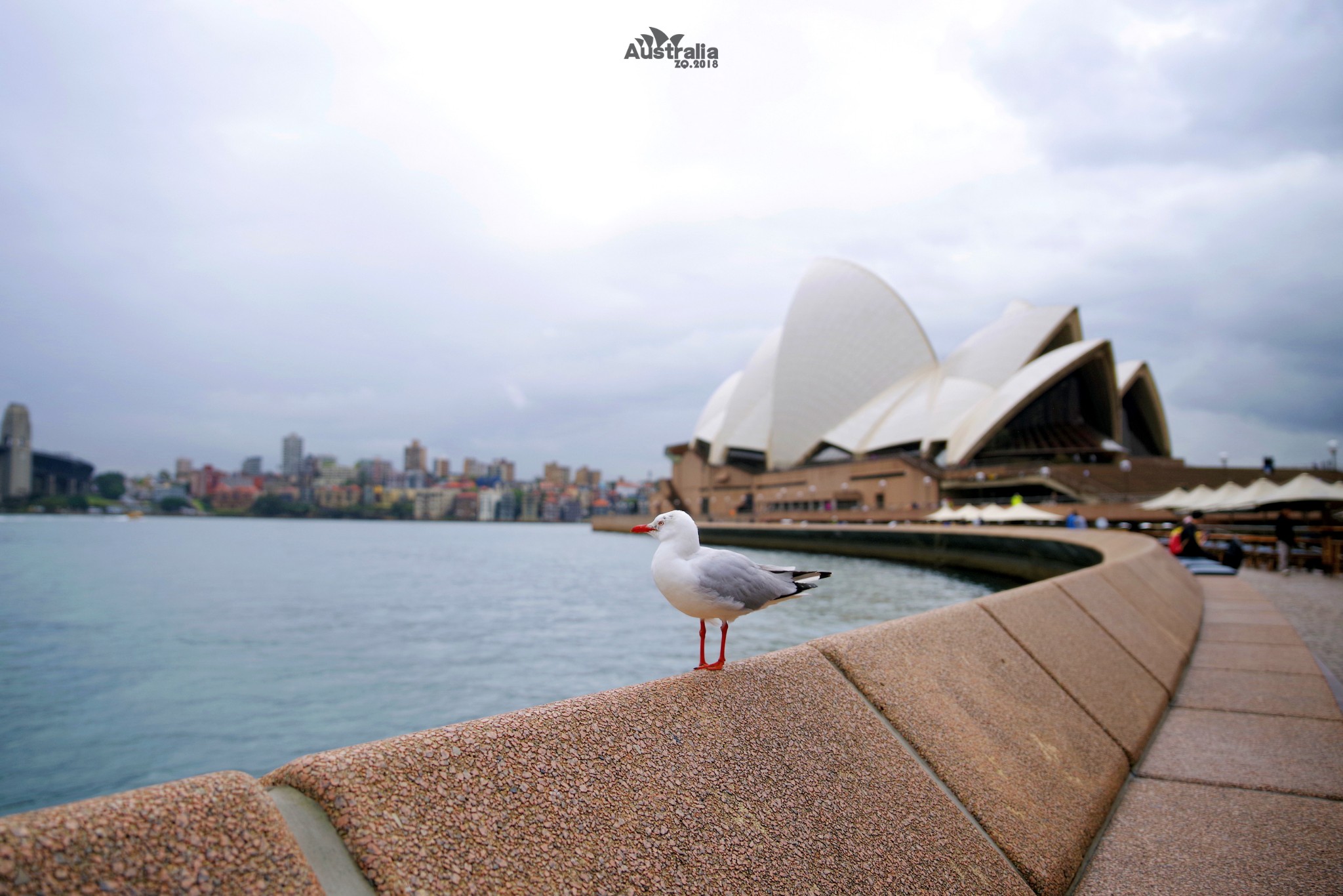 Sydney Opera House-Claire Peterson