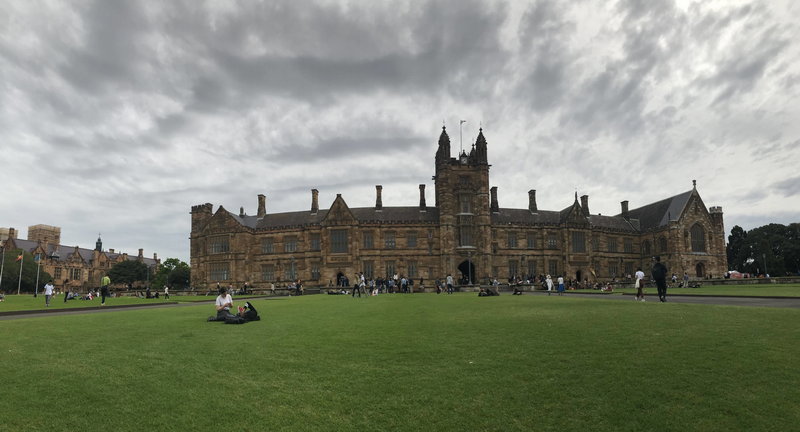 Sydney Uni-Meadow Stormcliff