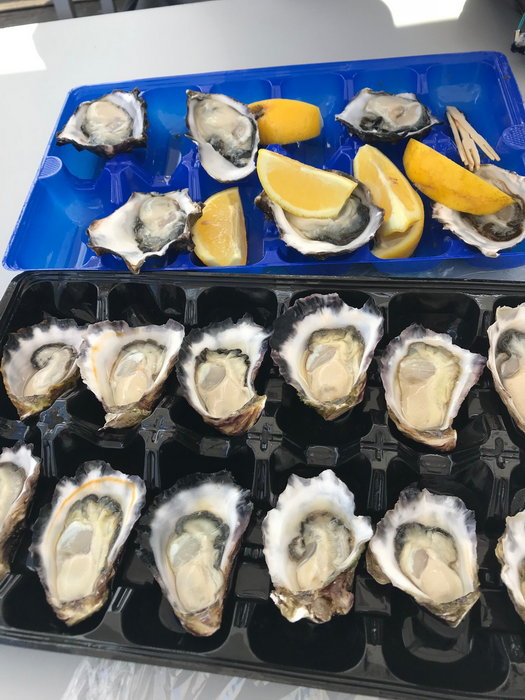 Sydney Fish Market-Madison Morris