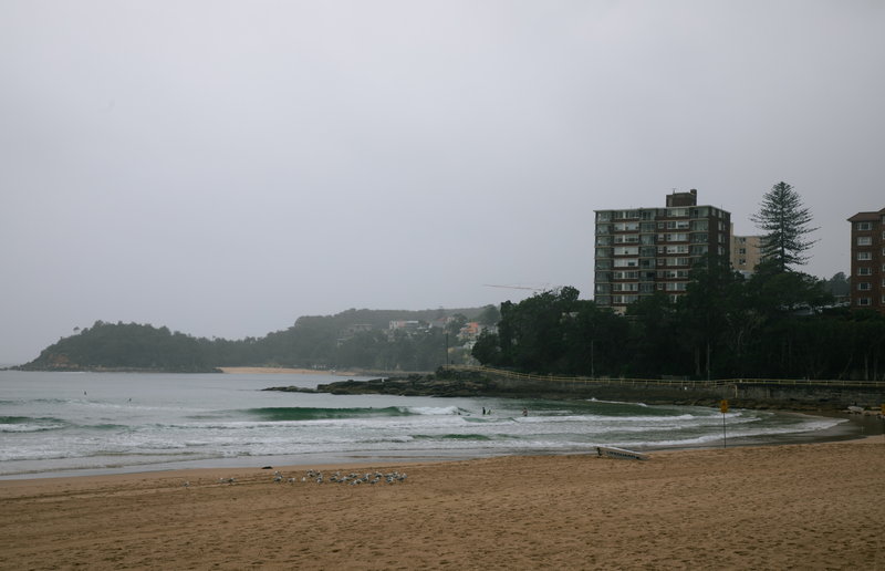 Manly Beach-Phoenix Hendricks