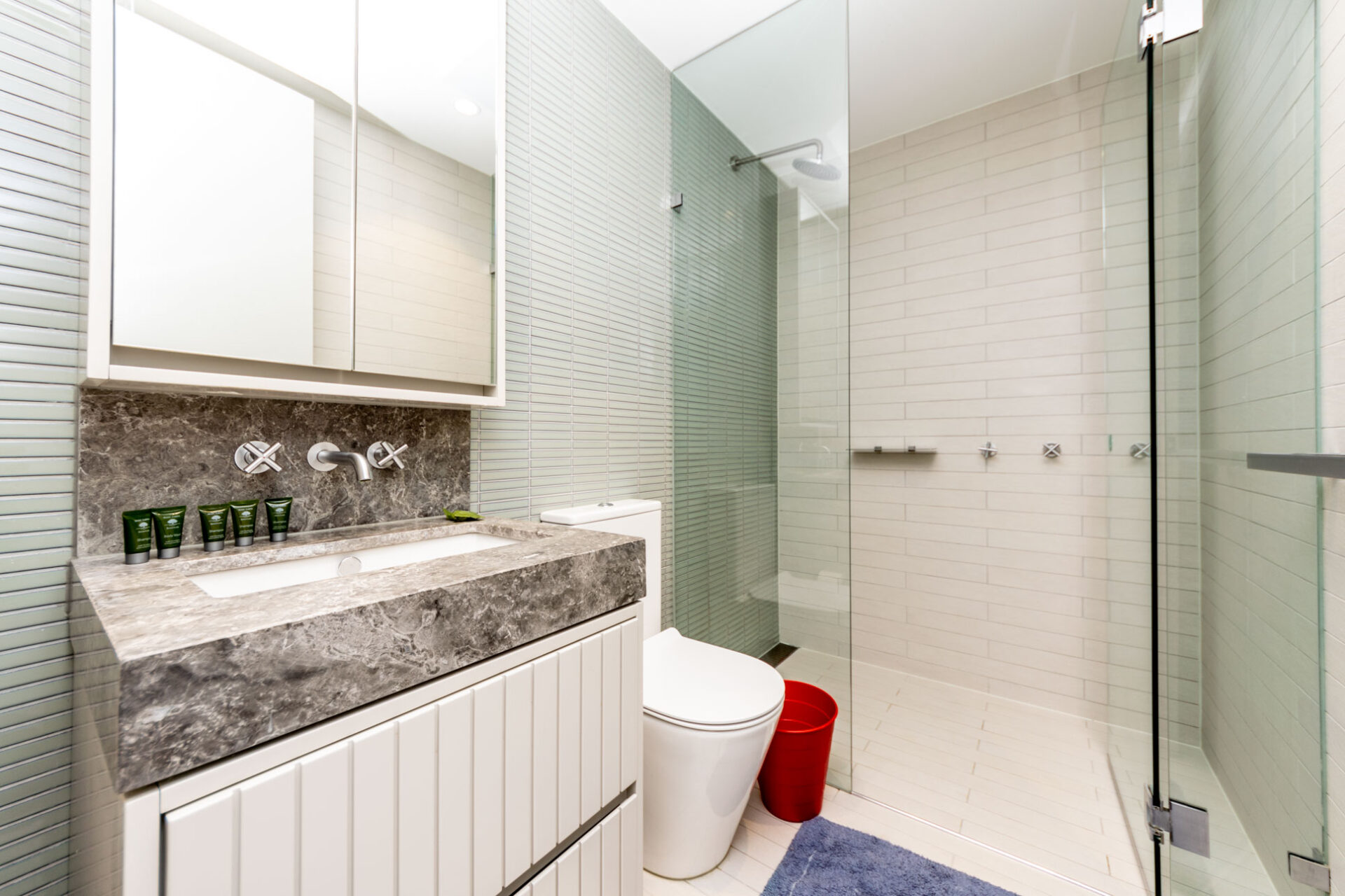 Summer Hill 2 Bedroom Smith Street SH19-Sydney short term rentals