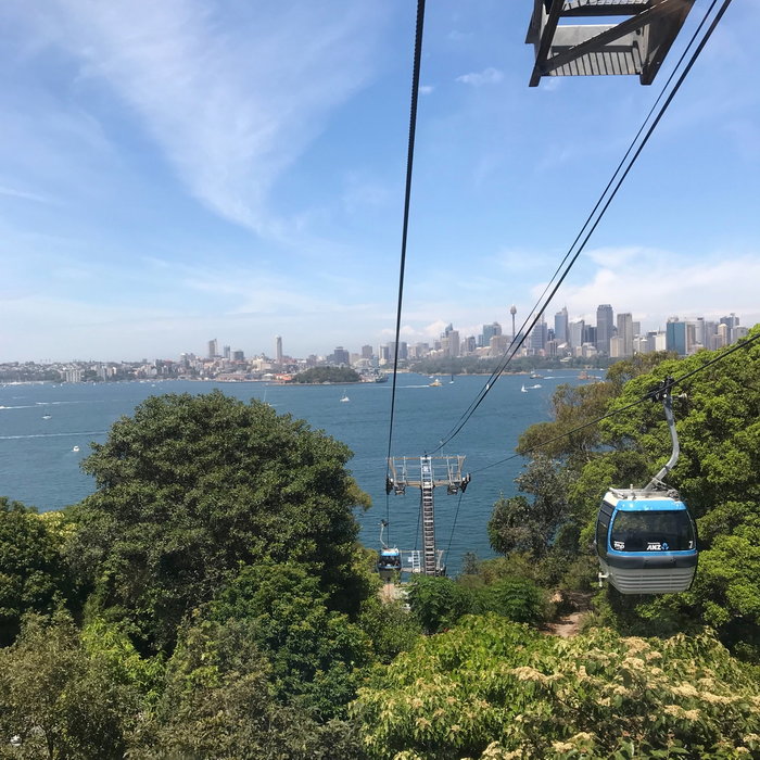 Taronga Zoo-Phoenix Stormfall
