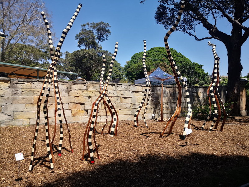 Royal Botanic Garden-Rachel Turner