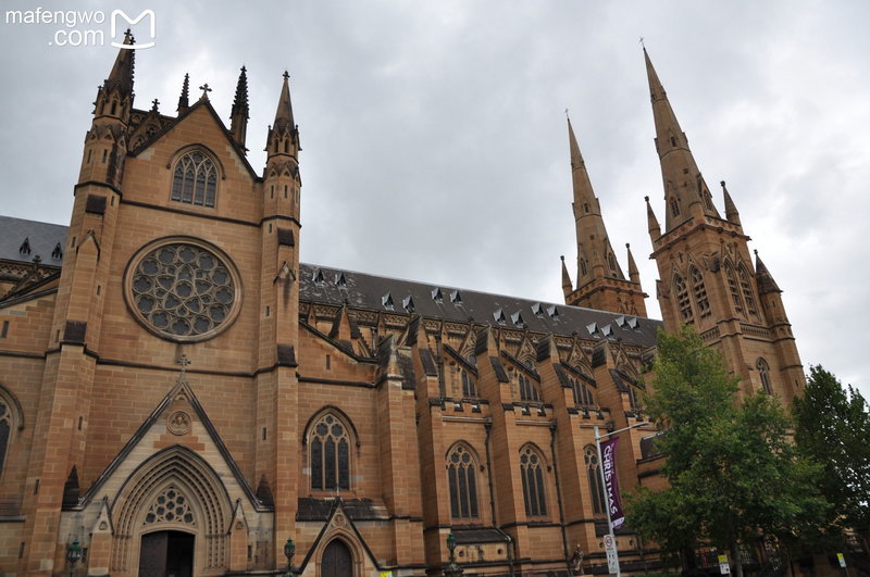 St Mary's Cathedral-Shane Sterling