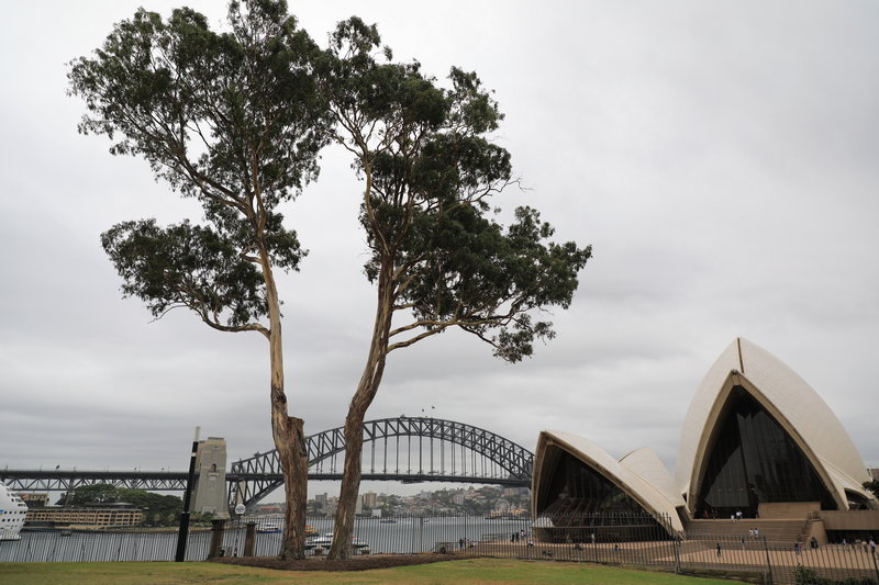 Sydney Harbour Bridge-Oliver Taylor