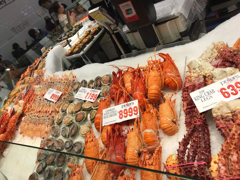 Sydney Fish Market-Madison Morris