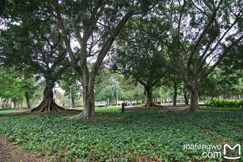 Hyde Park-Isabella Martinez