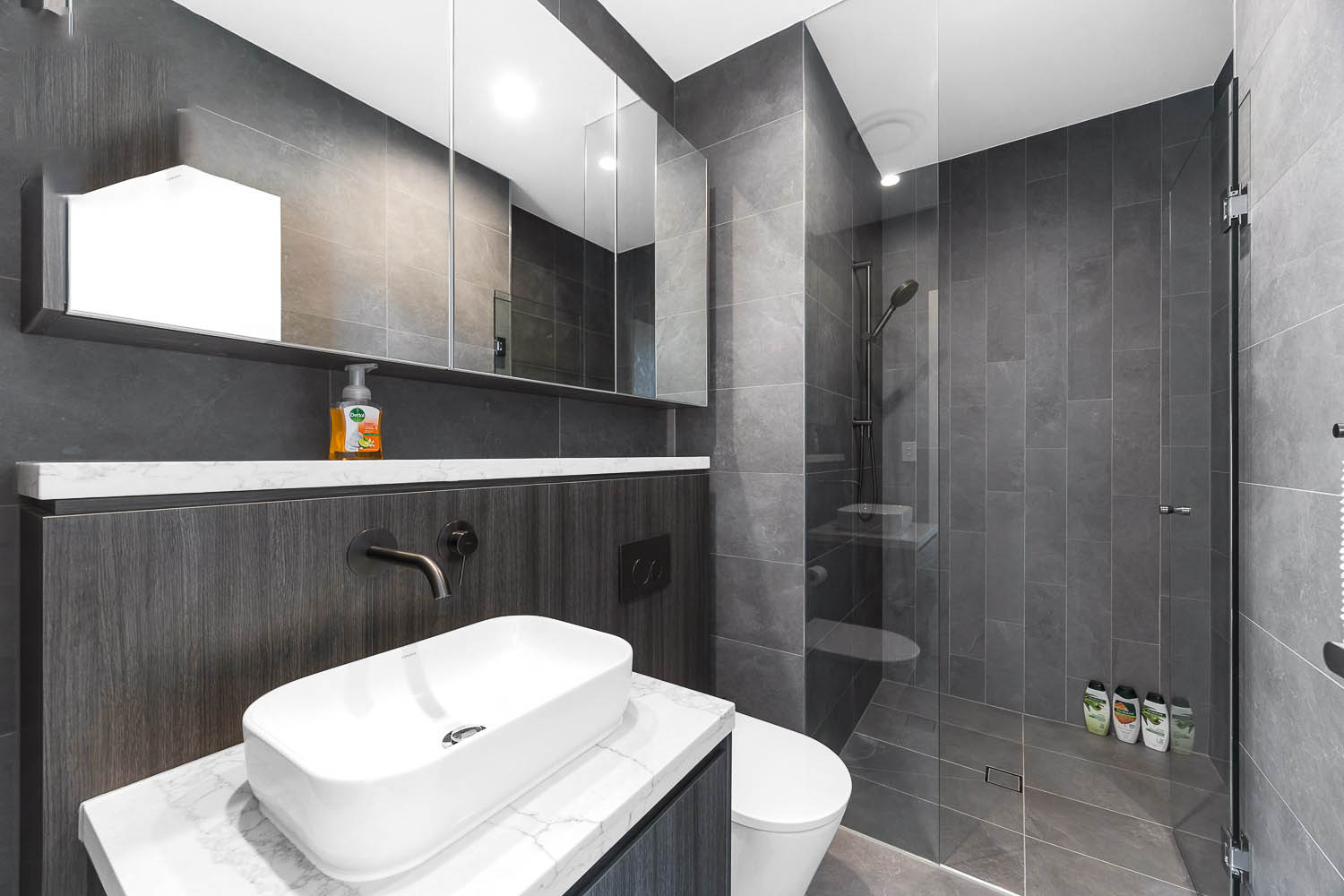 Burwood 2 Bedroom George Street BUR203-Sydney short term rentals