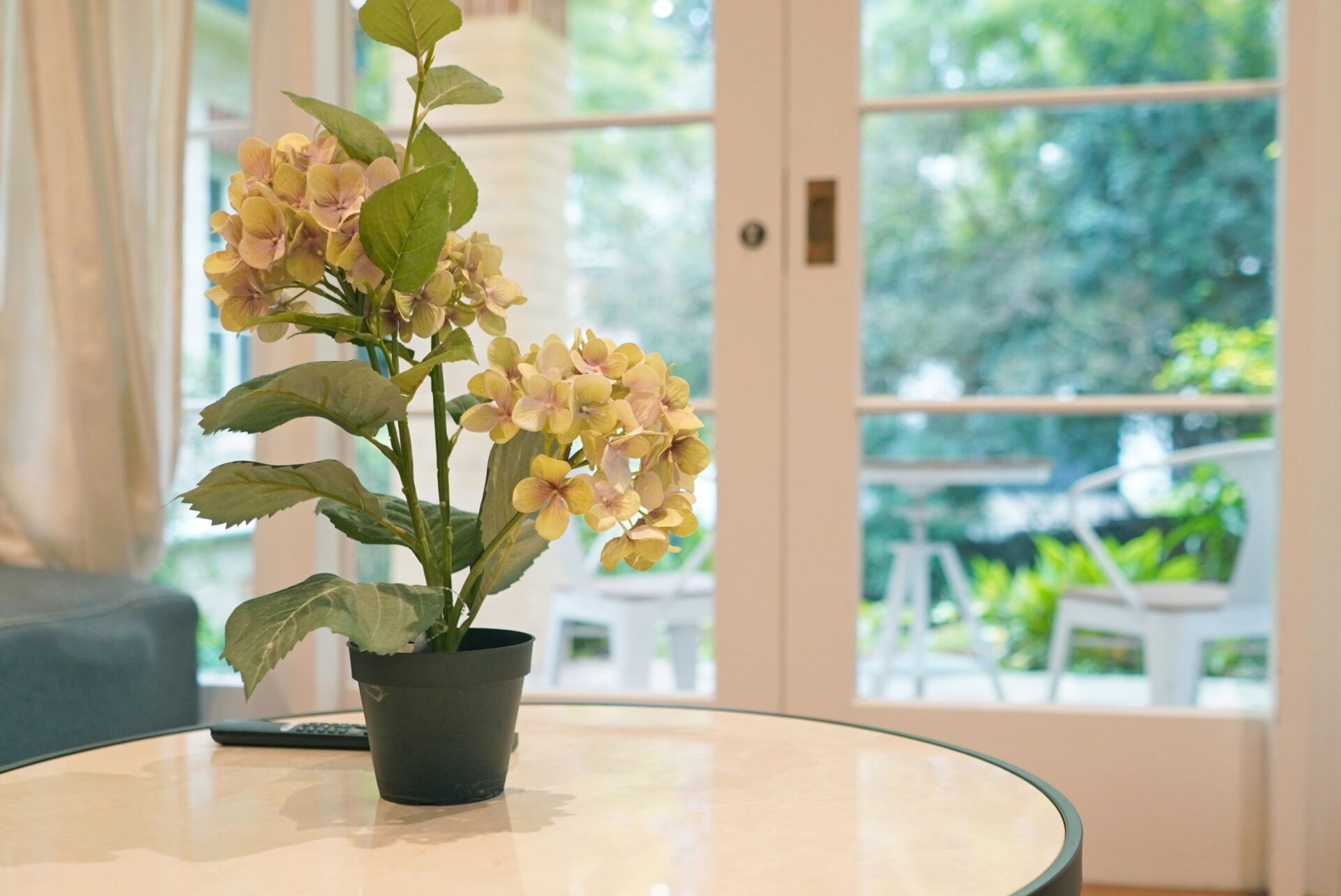 Chatswood 5 Bedroom House Centennial Avenue CW35-Sydney short term rentals
