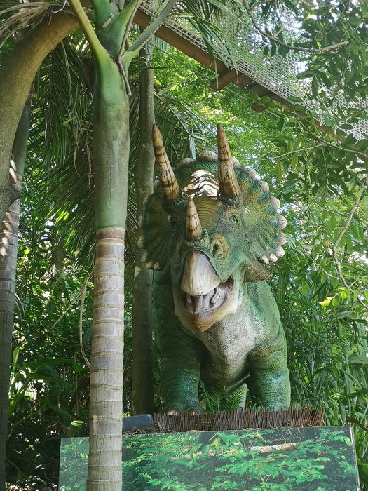 Taronga Zoo-Terra Silverleaf