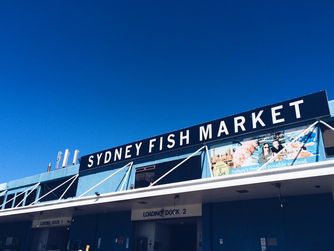 Sydney Fish Market-Andrew Robinson