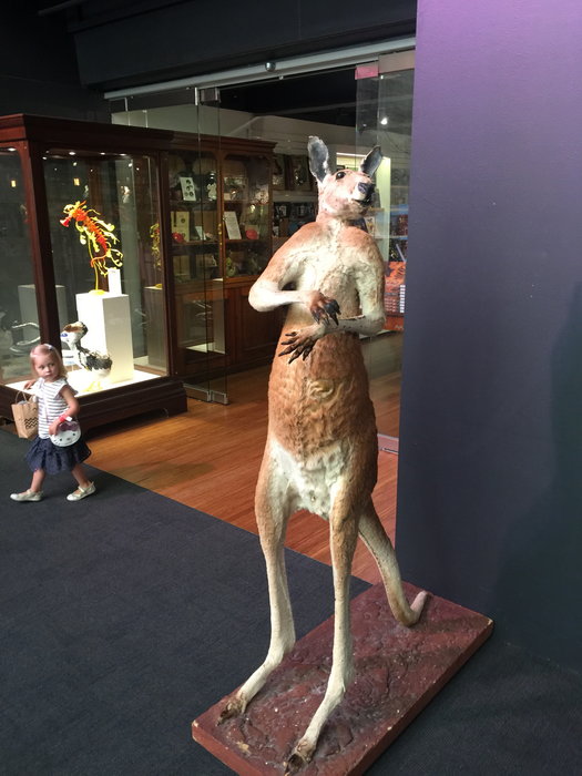 Australian Museum-Luna Powell