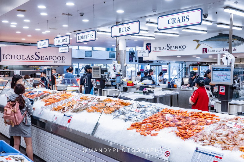 Sydney Fish Market-Lucas Palmer