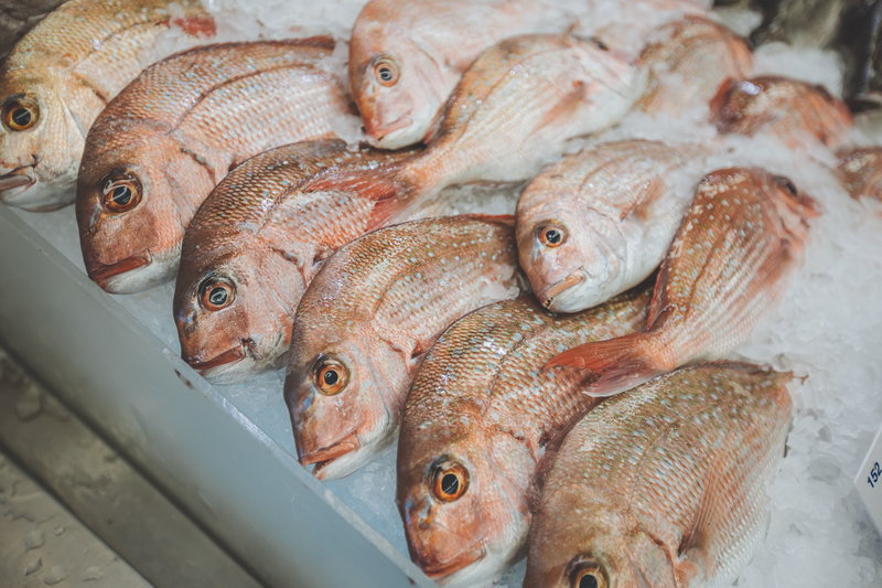 Sydney Fish Market-Isla Brooks