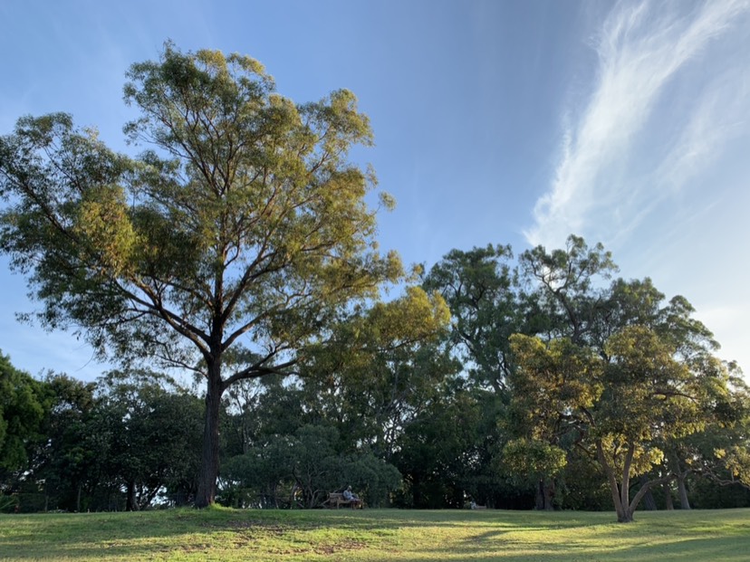 Royal Botanic Garden-Melanie Barnes