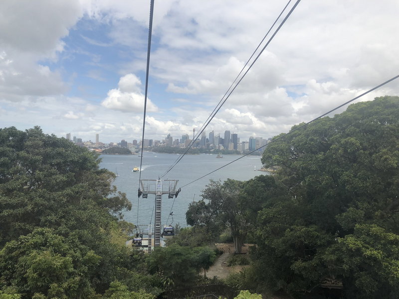 Taronga Zoo-Echo Ironvale