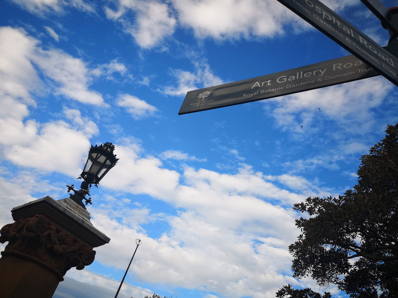 Art Gallery of NSW-Lena Morgan