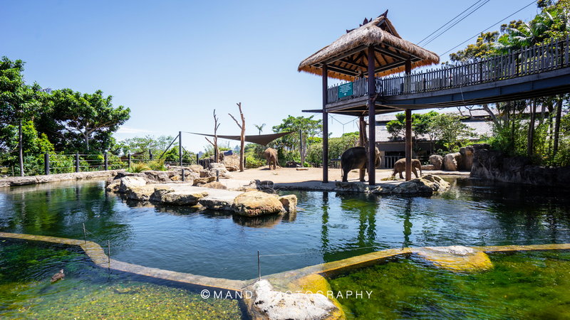 Taronga Zoo-Terra Goldleaf