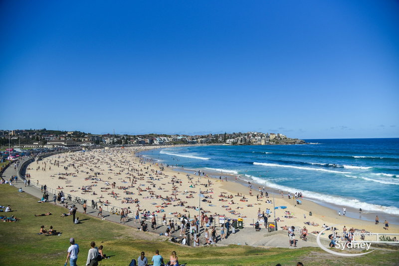 Bondi Beach-Elizabeth Parker