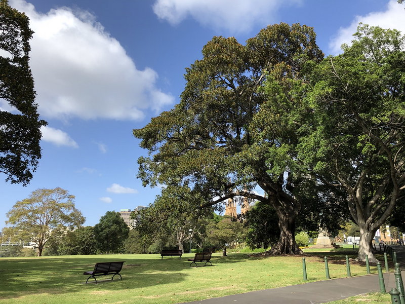 Royal Botanic Garden-Georgia Brown
