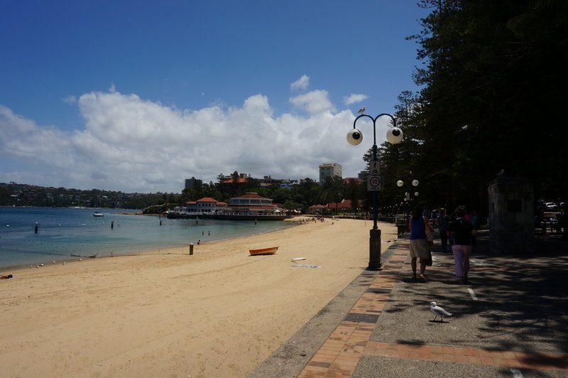 Manly Beach-Blake Blackwood
