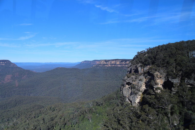 Blue Mountains-Lotus Winchester